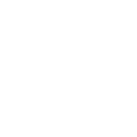 basis partner logo
