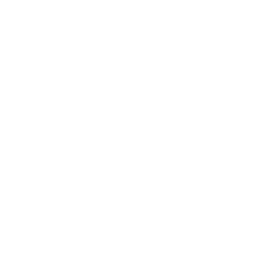triple lift partner logo