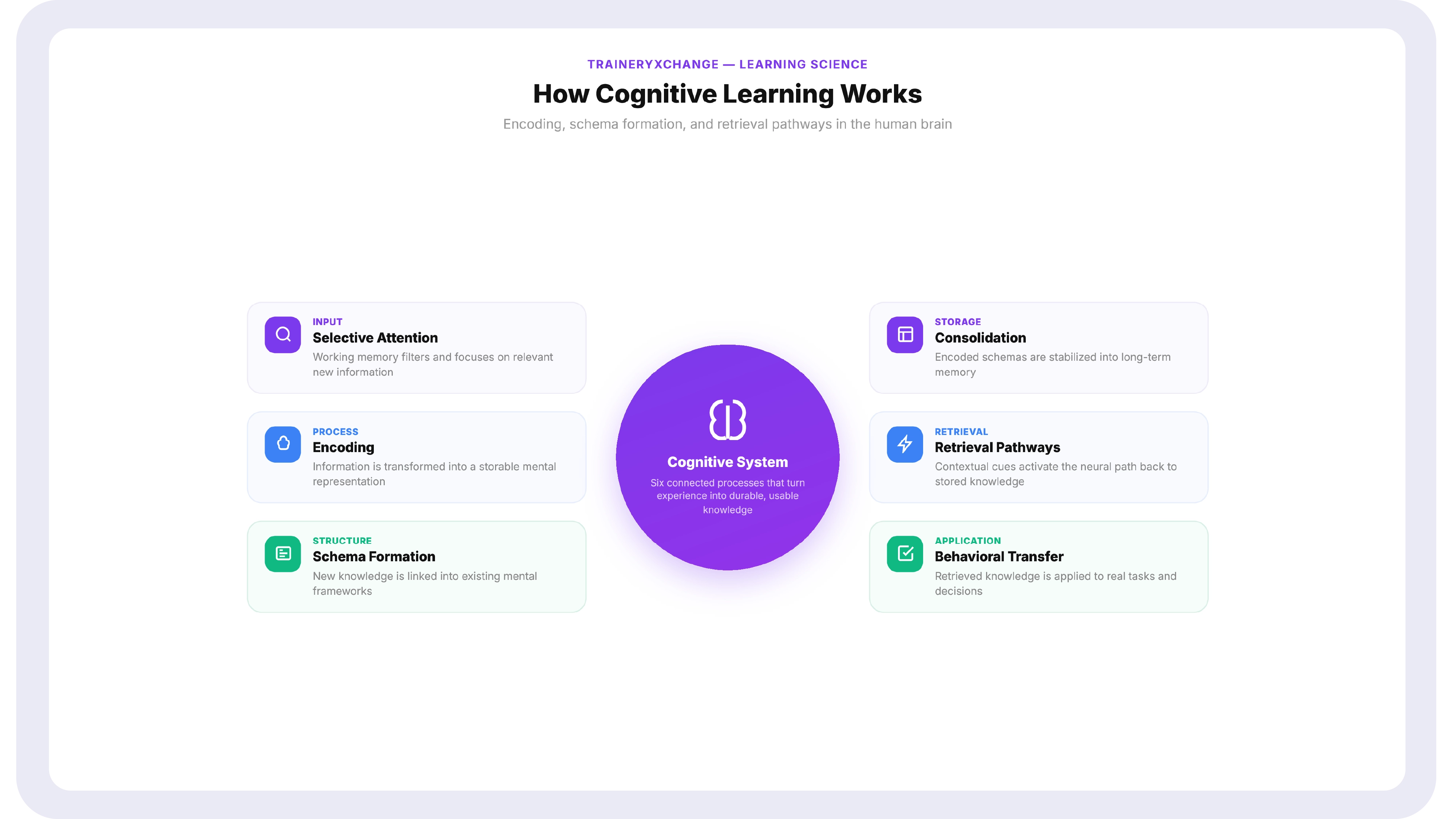 Diagram of cognitive learning theory showing encoding, schema formation, and retrieval pathways in the human brain