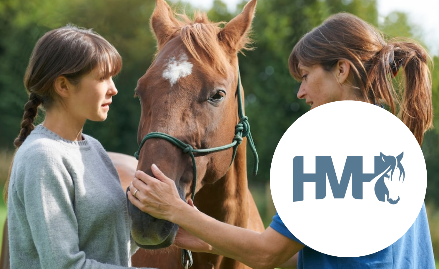 How Horses for Mental Health Tripled Their Fundraising with Peer-to-Peer Campaigns Using Raisely