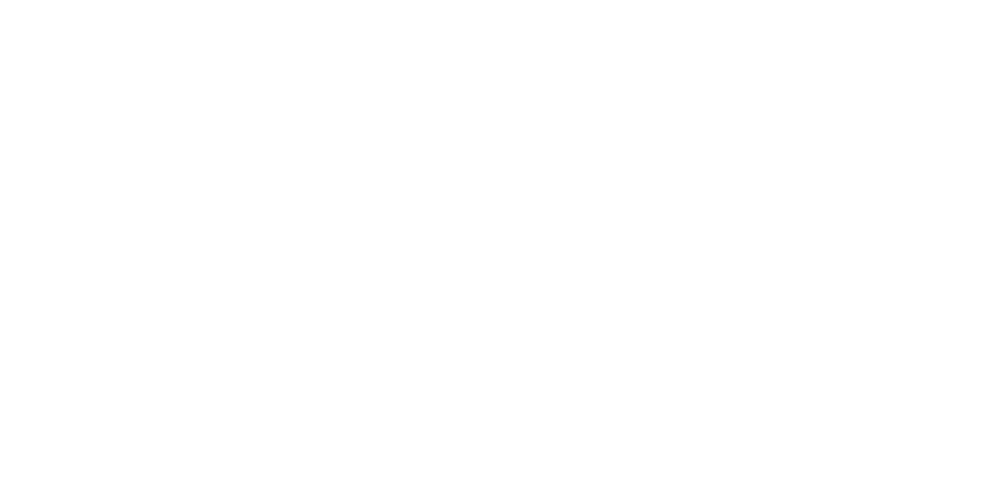 10 West Grill + Dive Bar Logo