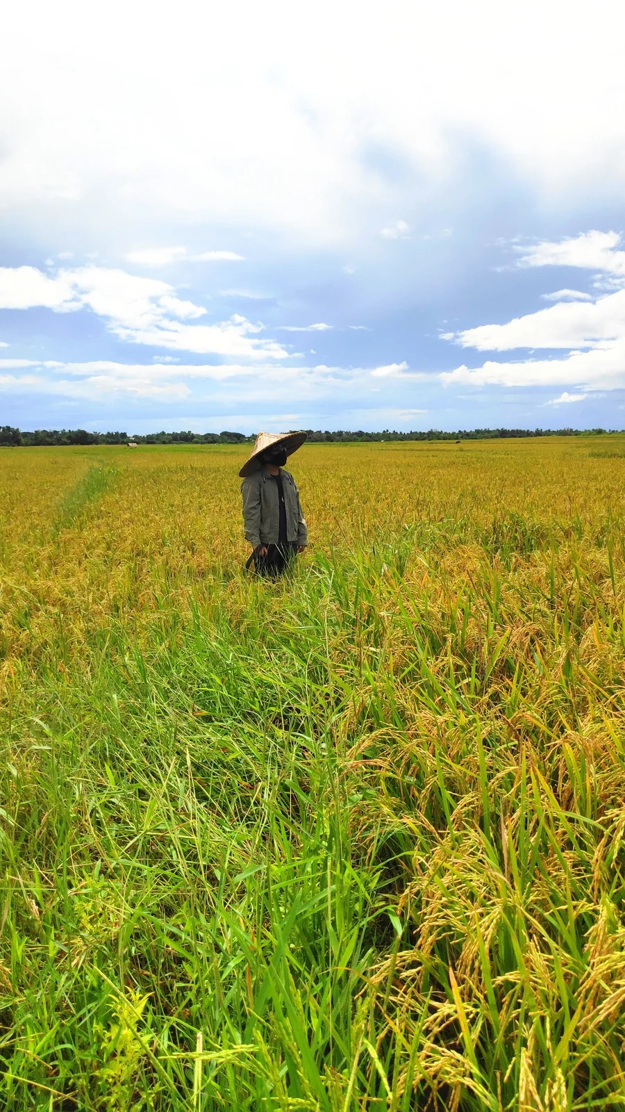 Smart logo with a green, blue, and light green triangular design next to the word 'Smart' in green letters.