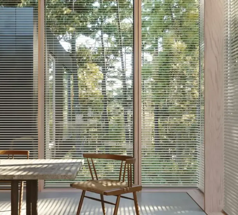 Hunter Douglas window blinds