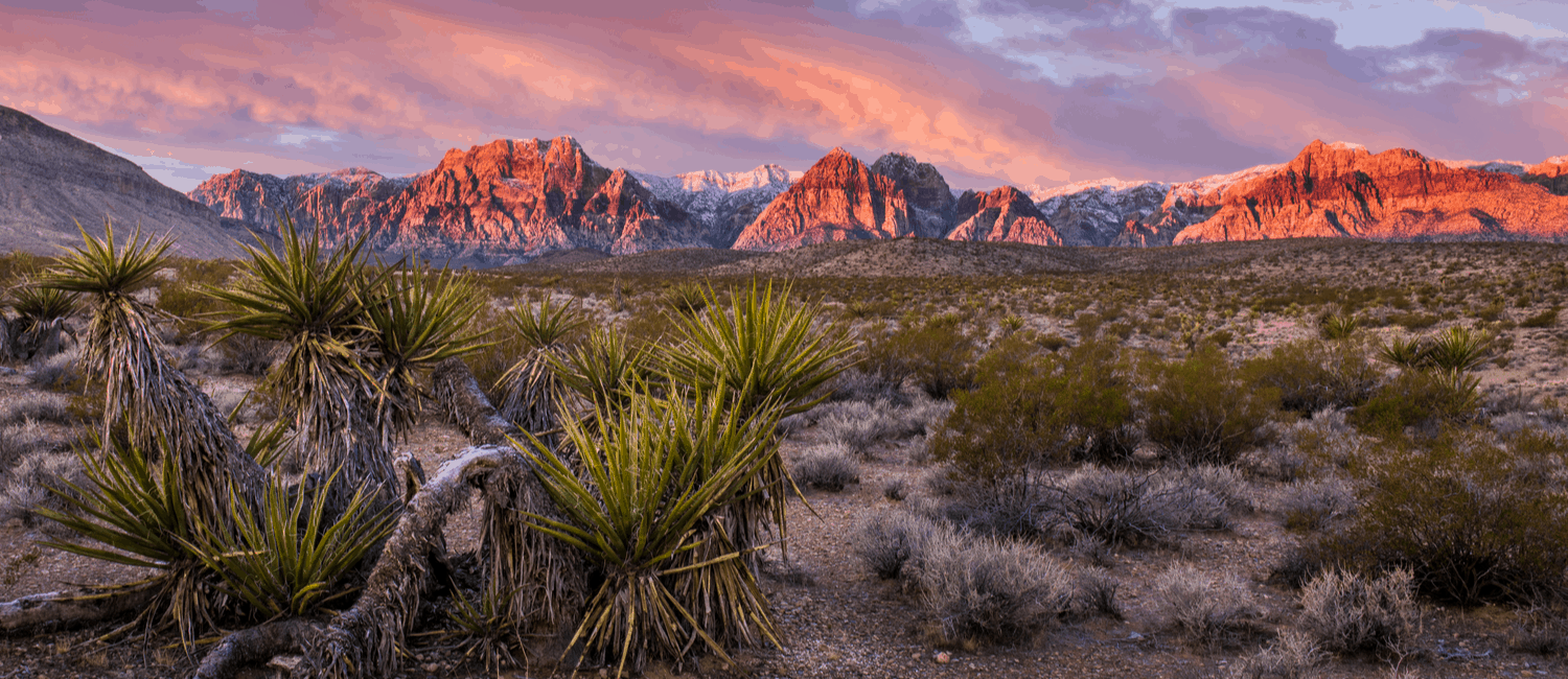  Scenic view of the ocean and mountains from a hilltop, showcasing the natural beauty of the landscape.