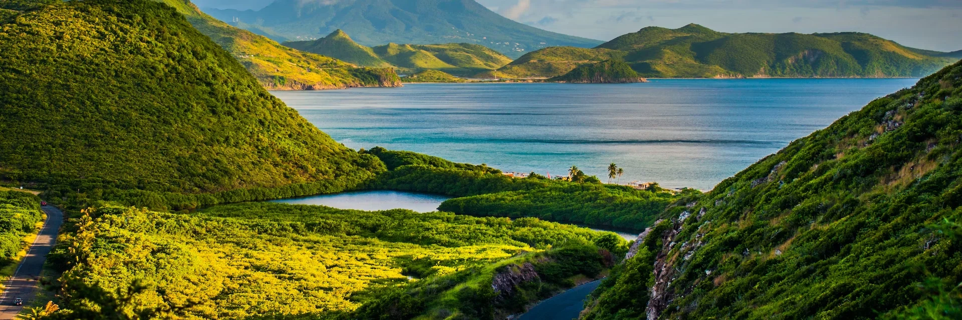 How Forward Point Solution facilitates this process