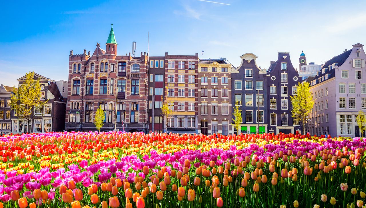 Netherlands tax residents leaving Amsterdam tulip fields Box 3 unrealised gains 2028