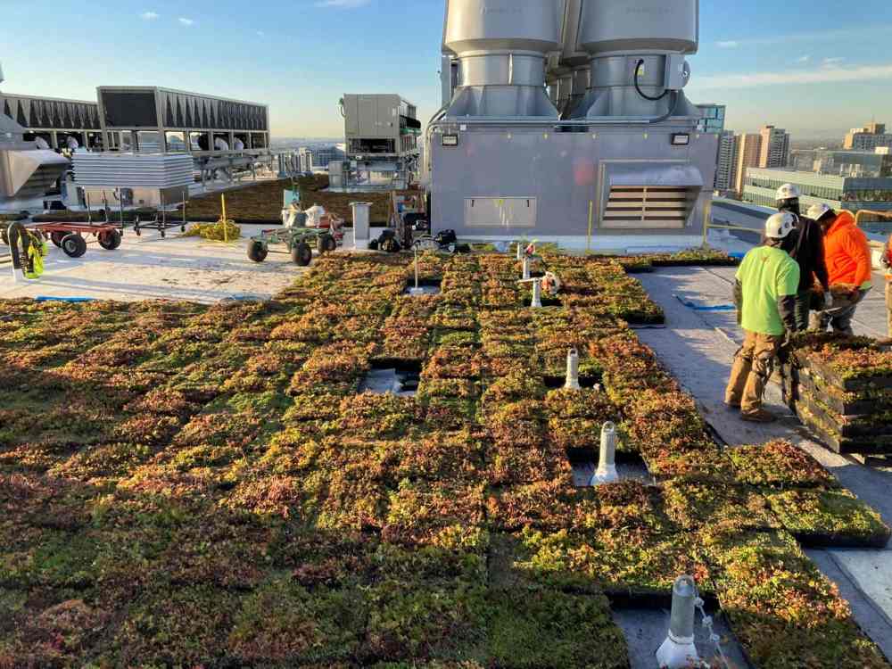 Green Roof System