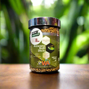 Jar of WA Arowana Nutri Sticks fish food with new formula label on wooden surface and green blurred background.