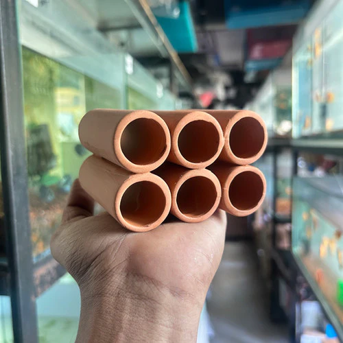 Hand holding six small terracotta tubes arranged in two rows of three inside a pet store.