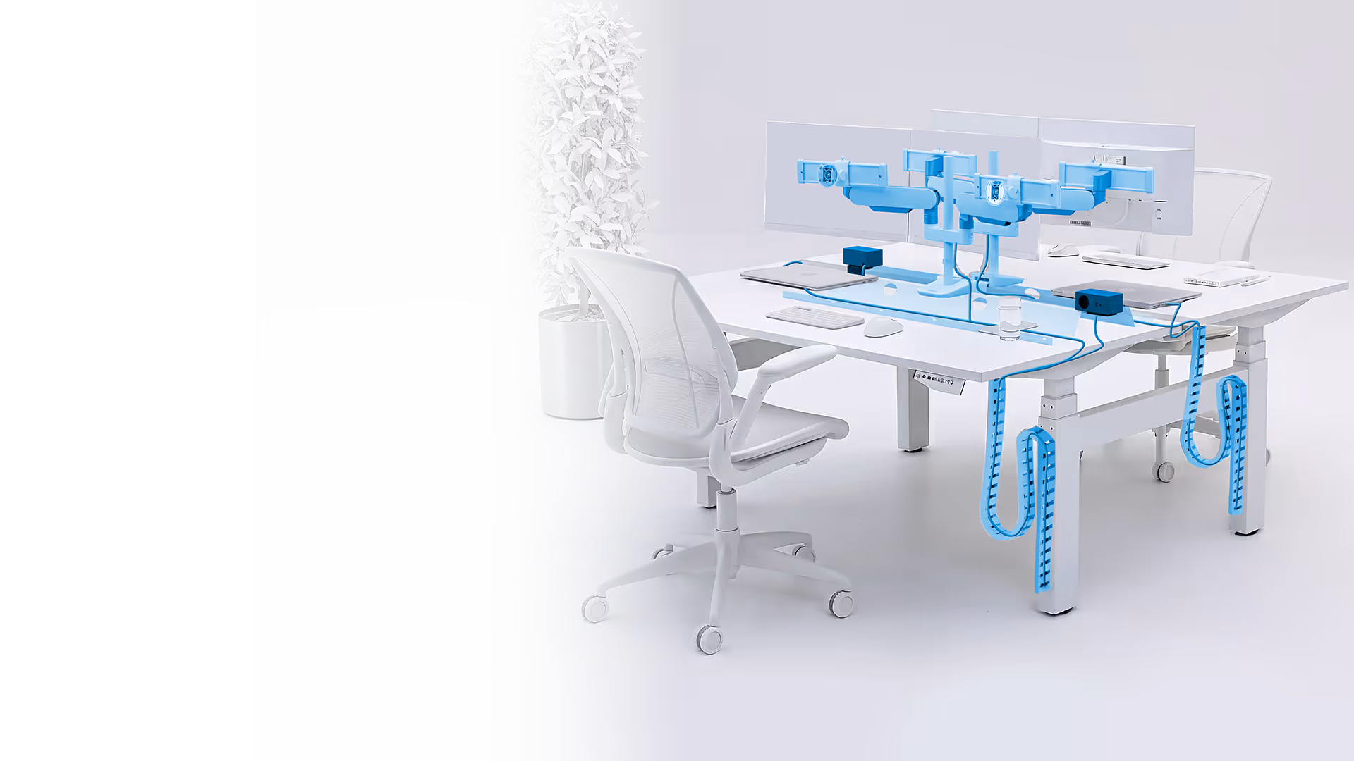 Modern wit kantoor met twee werkplekken, witte bureaustoelen, plant in metalen pot en kabelbeheer in blauwe kleur.