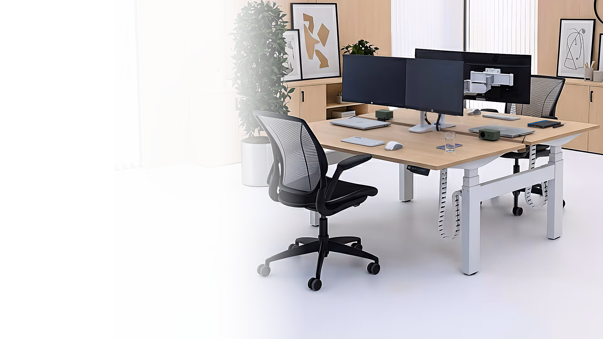 Moderne kantoorruimte met een verstelbaar zit-sta bureau, twee computerschermen, ergonomische kantoorstoelen en planten.
