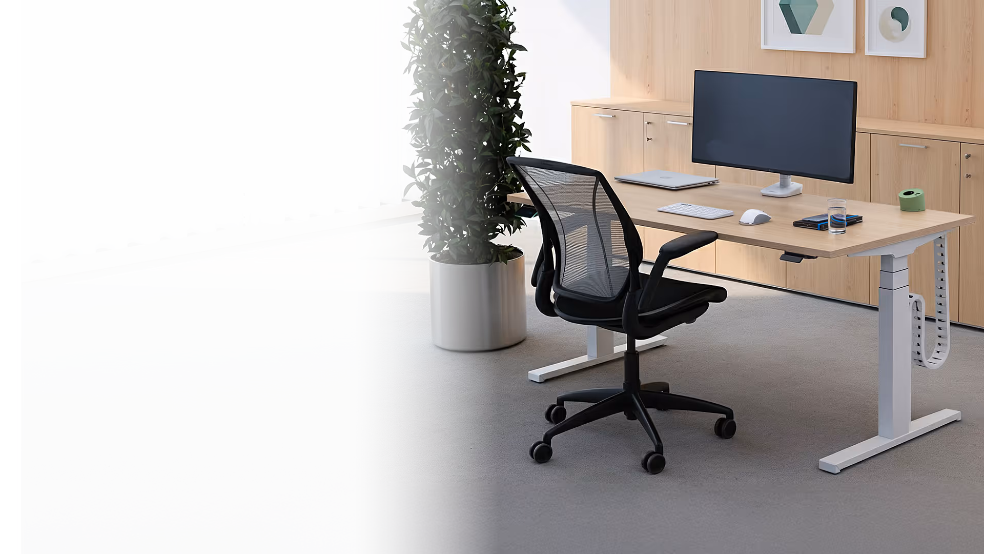 Moderne kantoorruimte met verstelbaar bureau, zwart ergonomisch bureaustoel, computerbeeldscherm, laptop en plantenbak.