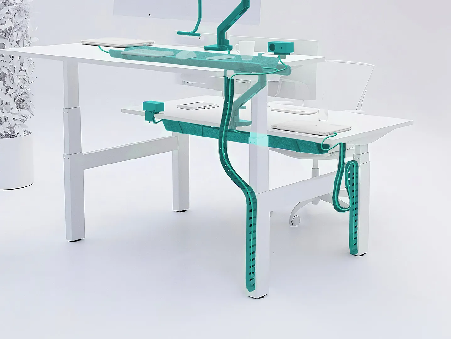 Twee witte verstelbare bureaus met kabelbeheer in blauwe kleur, rond moderne kantoorstoelen.