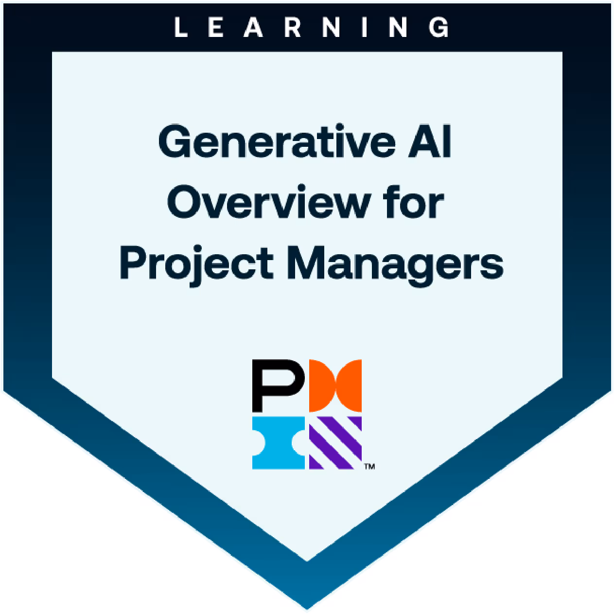 Gen Ai  Overview for Project Managers