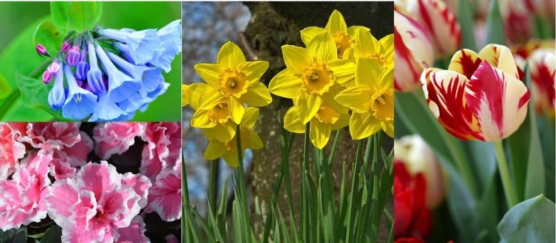 April Flowers in Home Decor