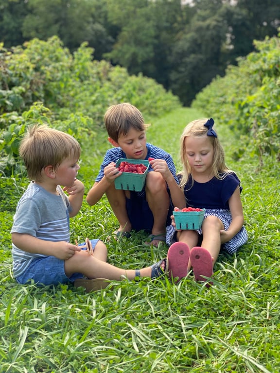 Even More Activities to Do Outside During October