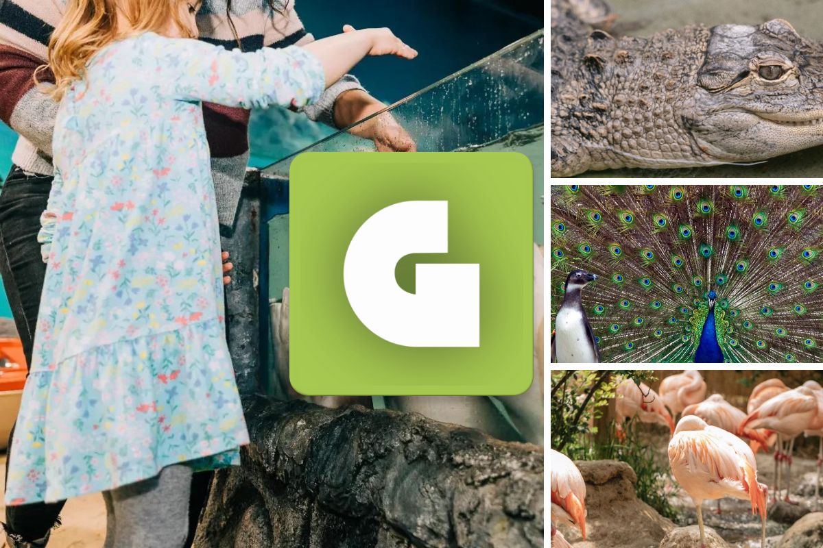 Get Wild in Idaho: Explore the Best Zoos and Aquariums With the GetOutPass