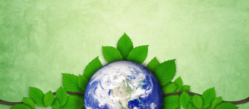 Go Green and Make a Difference: 5 Simple Ways to Celebrate Earth Day