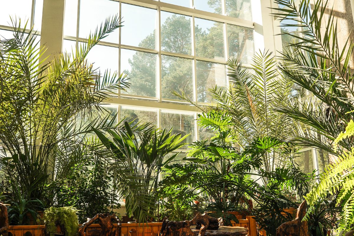 Green Thumb Not Required: 10 Effortless DIY Tips for Nurturing Indoor Plants