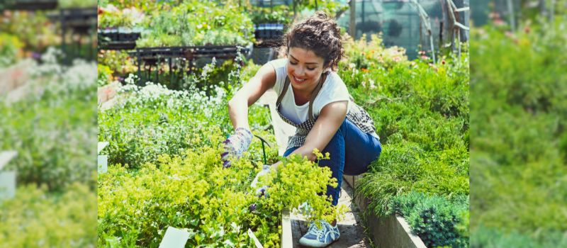 Green Thumb Workout: 10 Ways How Gardening Can Be Your New Exercise Routine