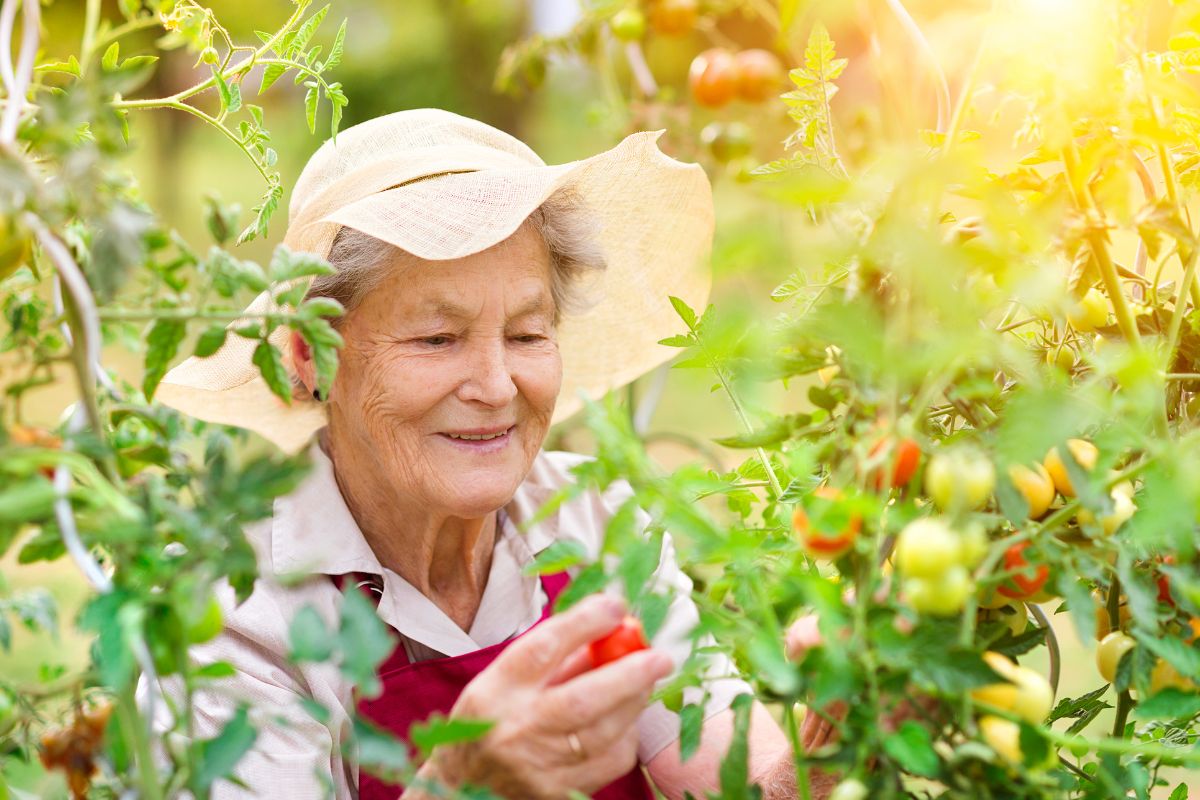Green Your Thumb: The Top 5 Gardening Exercises for Happy and Healthy Seniors