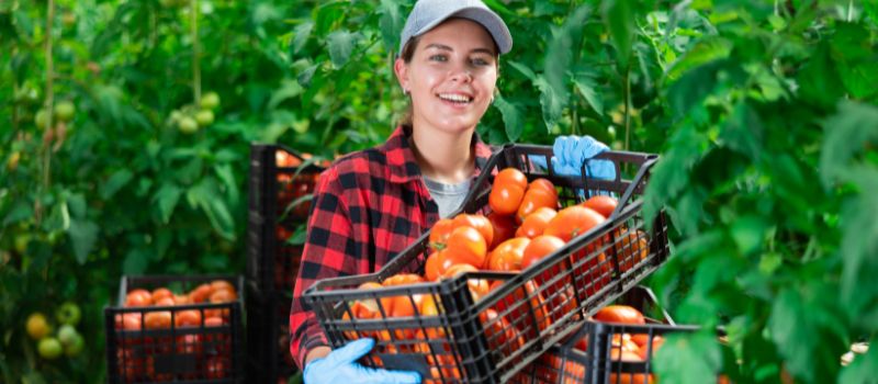 Harvesting Appreciation: 5 Reasons To Be Thankful for Farmers and the Food They Bring to Our Tables