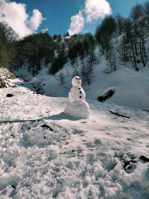 How to Build the Perfect Snowman