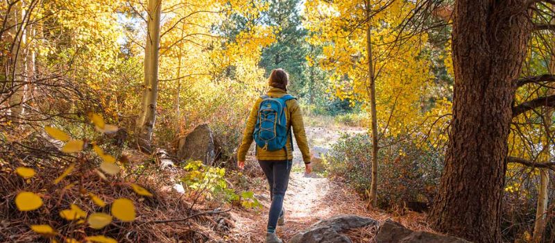 Incredible Scenic Hikes This Fall