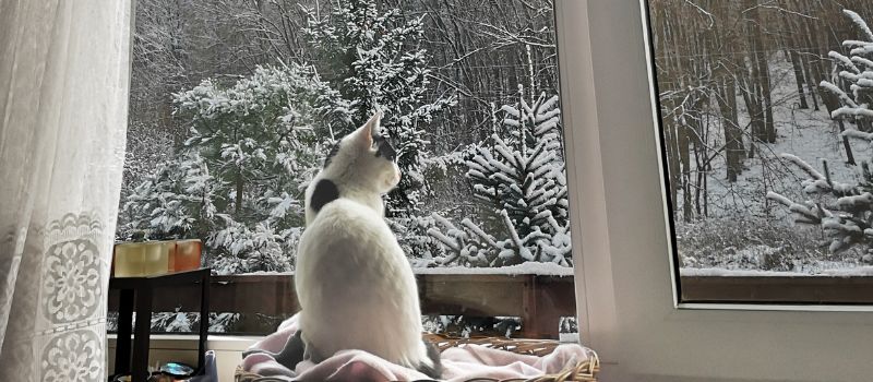 Indoor Activities to Take Your Mind Off of Cold Weather