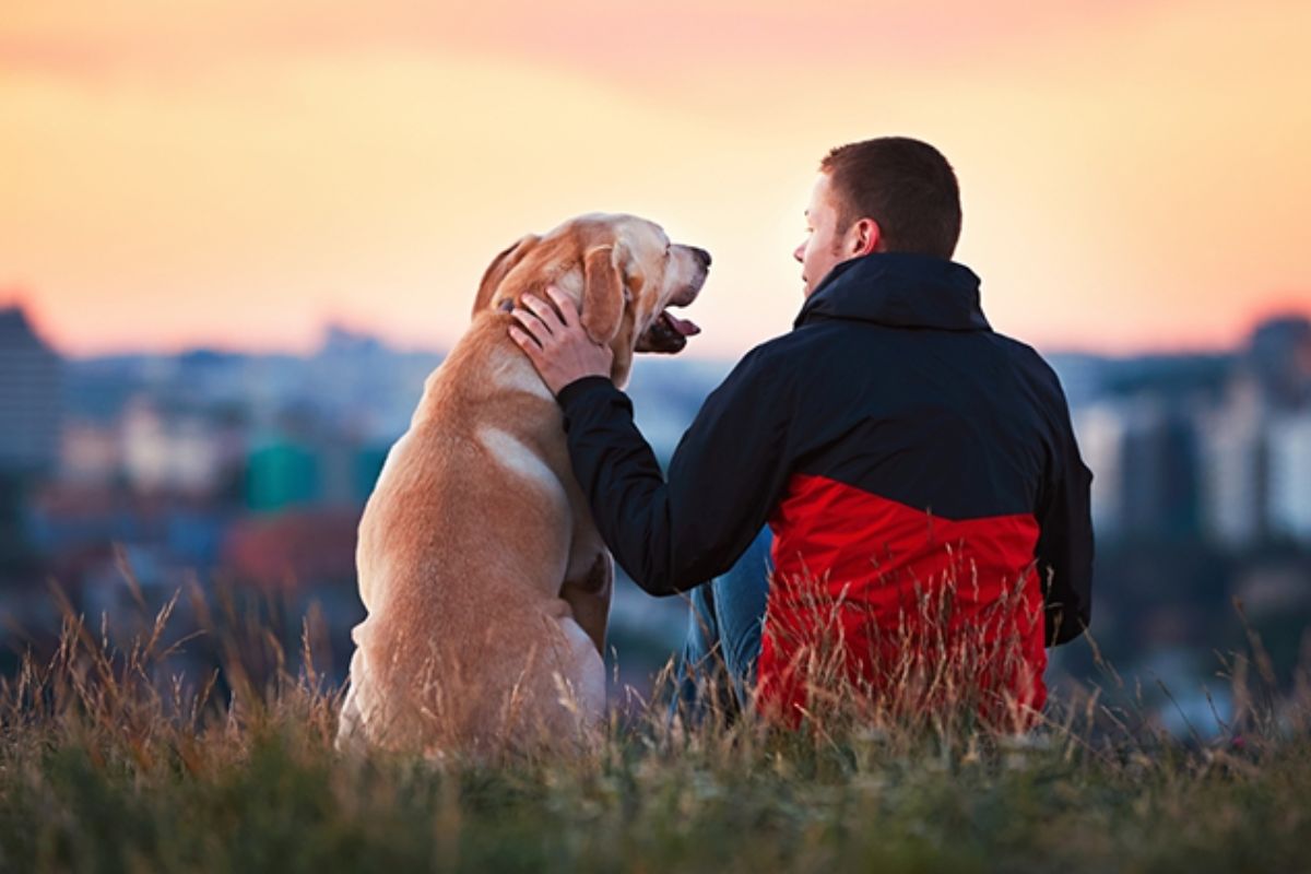 Mastering the Art of Capturing Unforgettable Moments With Your Furry Friend