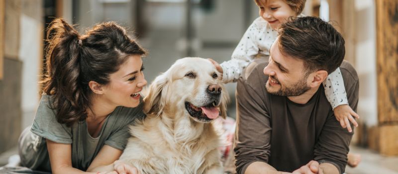 Mastering Puppy Parenting: 10 Must-Know Tips for a Smooth Transition to Dog Ownership