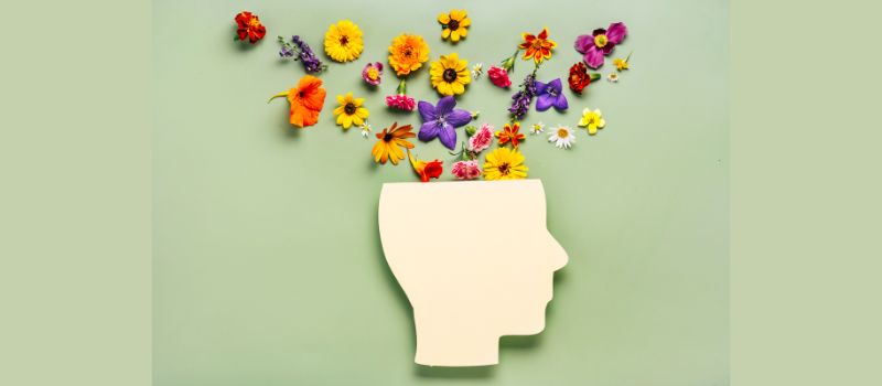 Mind Over Matter: Simple and Effective Tips Protecting and Nurturing Your Mental Health