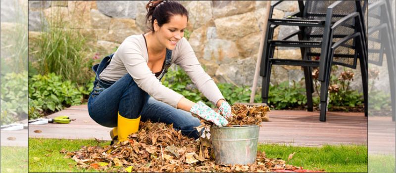 November Gardening Ideas