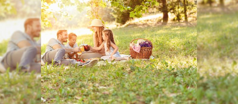 Picnic Perfection: 10 Expert Tips for Finding the Best Spot for a Family Adventure