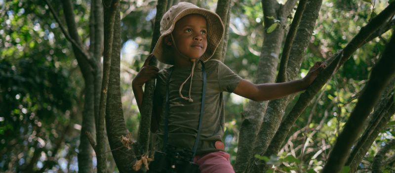 Rooting for a Greener Future: 5 Activities to Teach Kids about Trees