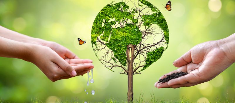 Small Steps, Big Impact: 5 Easy Ways To Make a Difference for the Environment