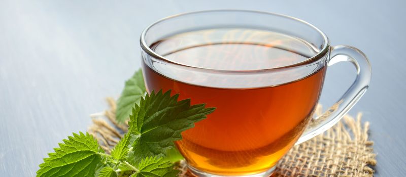 Steeped in Joy: 5 Cozy Reasons To Celebrate With a Hot Tea This January