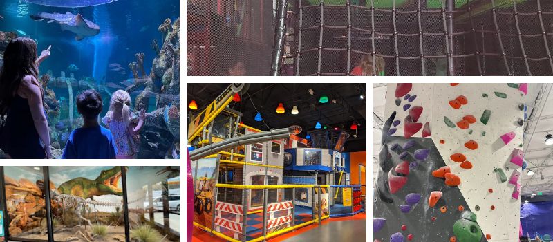 Beat the Heat: 13 Best Indoor Activities for Kids in Phoenix (GetOut Guide)