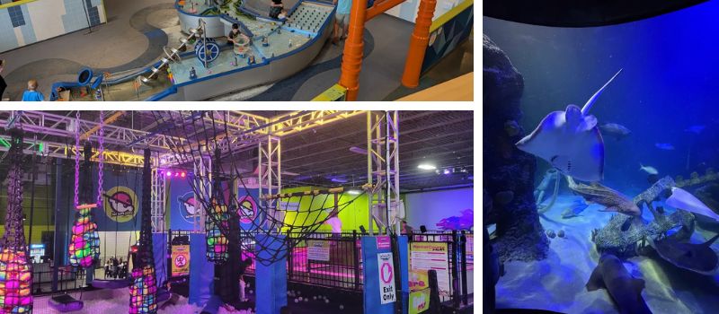 Kansas City Humidity Survival Guide for Families: 5 Indoor Spots to Beat the Heat