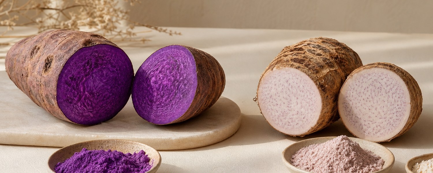 Comparaison entre ube violet coupé et taro plus pâle sur table claire