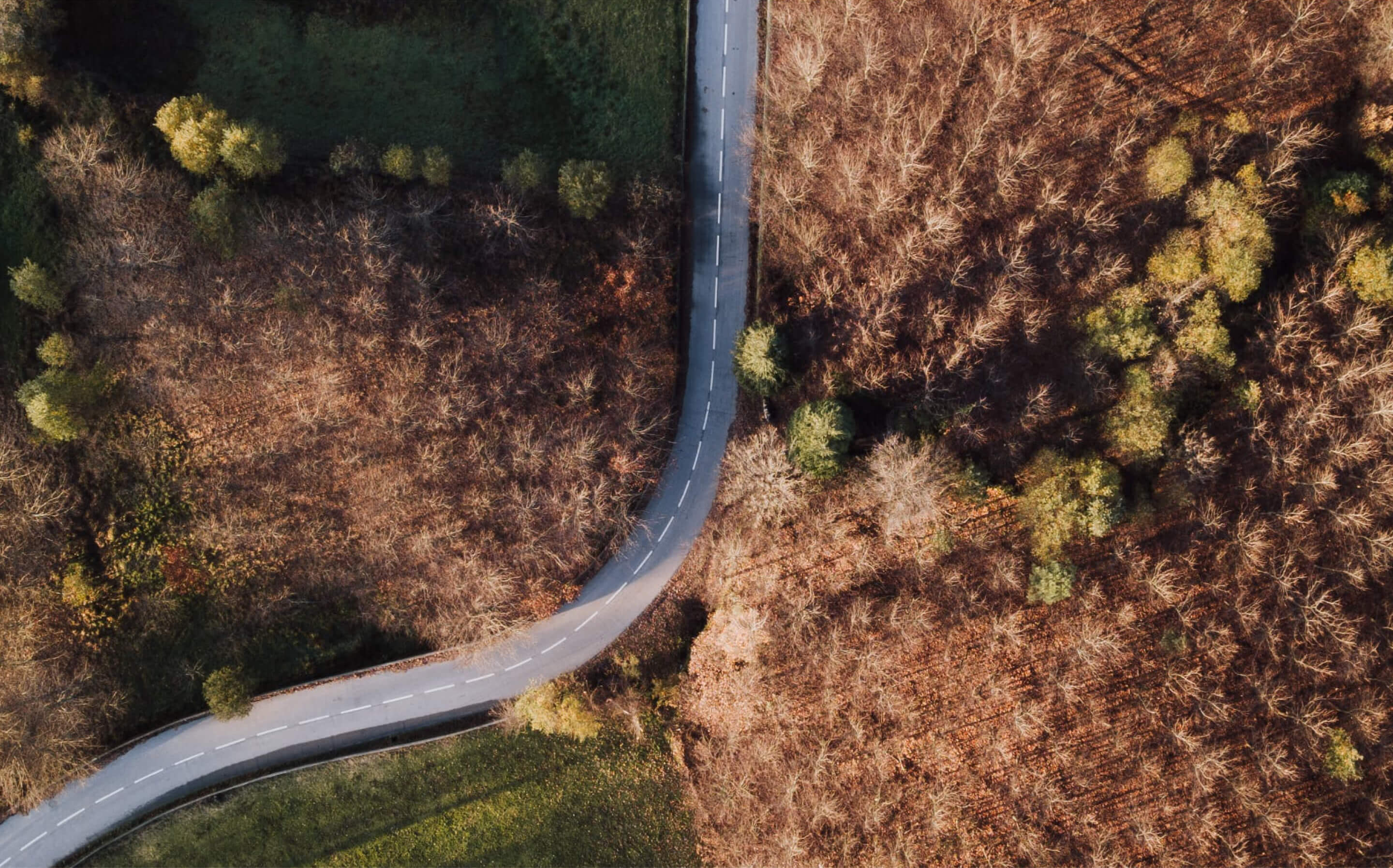 Designing the Future with Timeless Aesthetics That Inspire