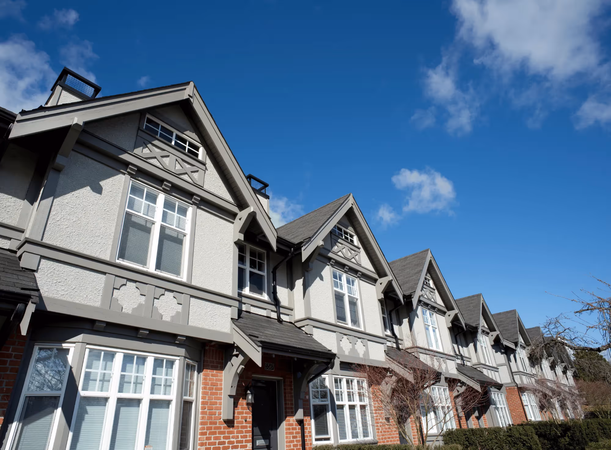 What Can I Do in Edmonton's RSM Zone?