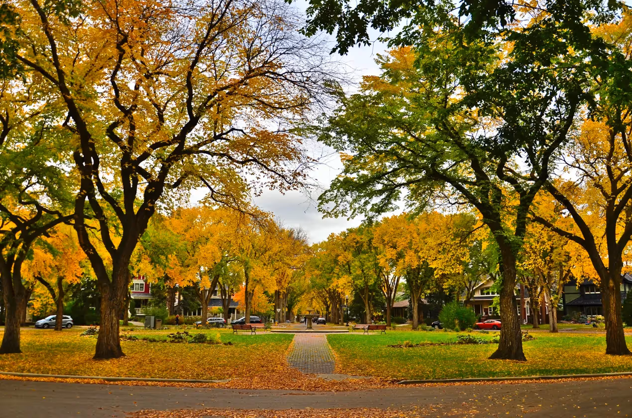 The Carruthers Caveat: What Developers Need to Know