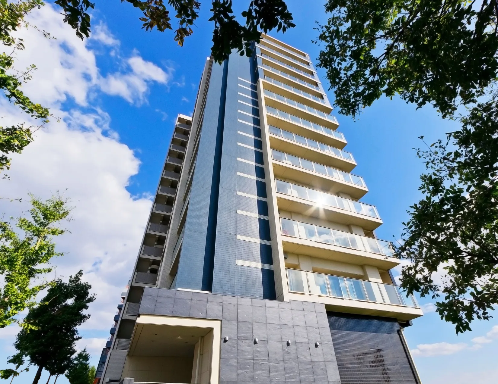 What Can I Do in Edmonton's RL Zone?