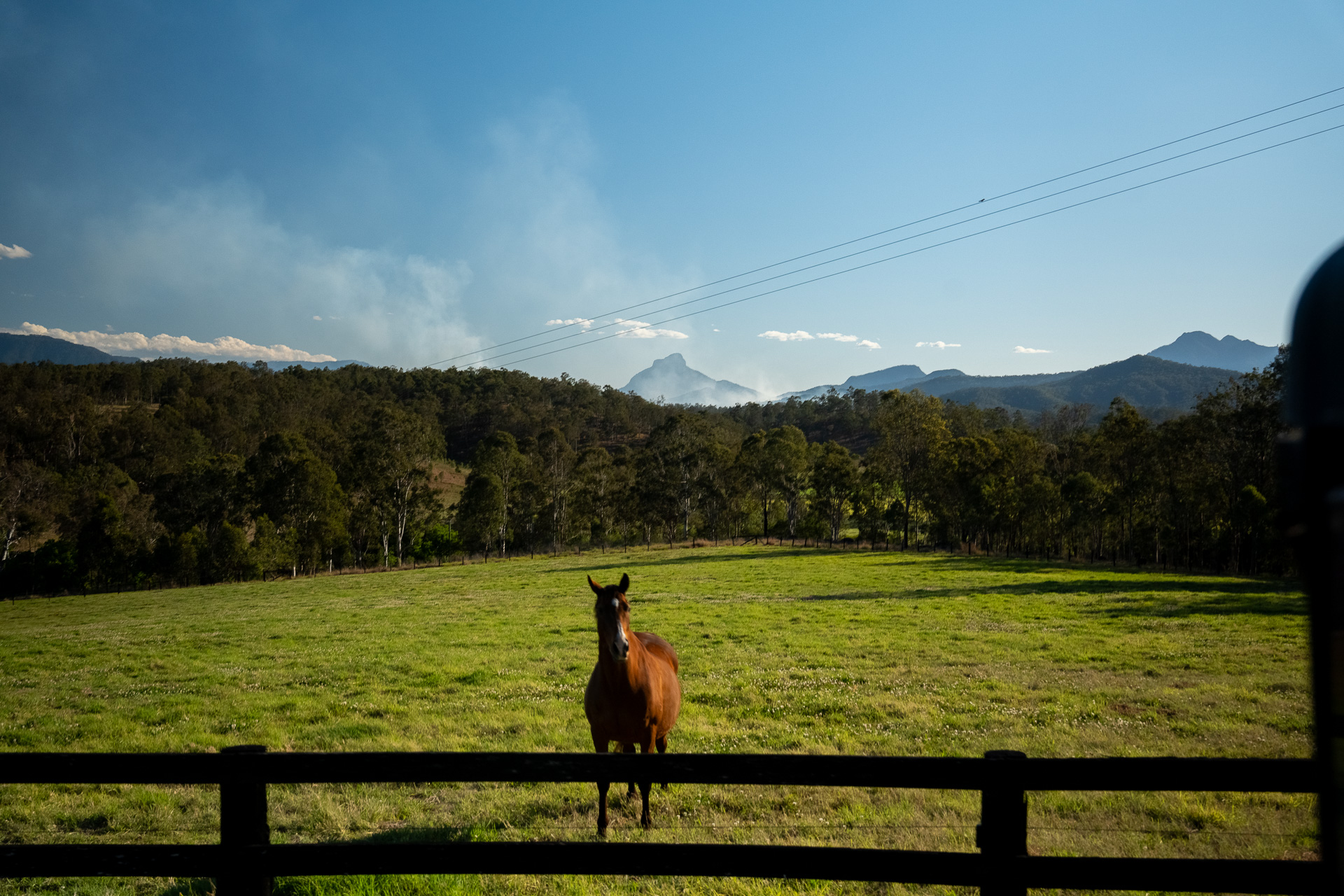 race horses spelling in Queensland, Australia