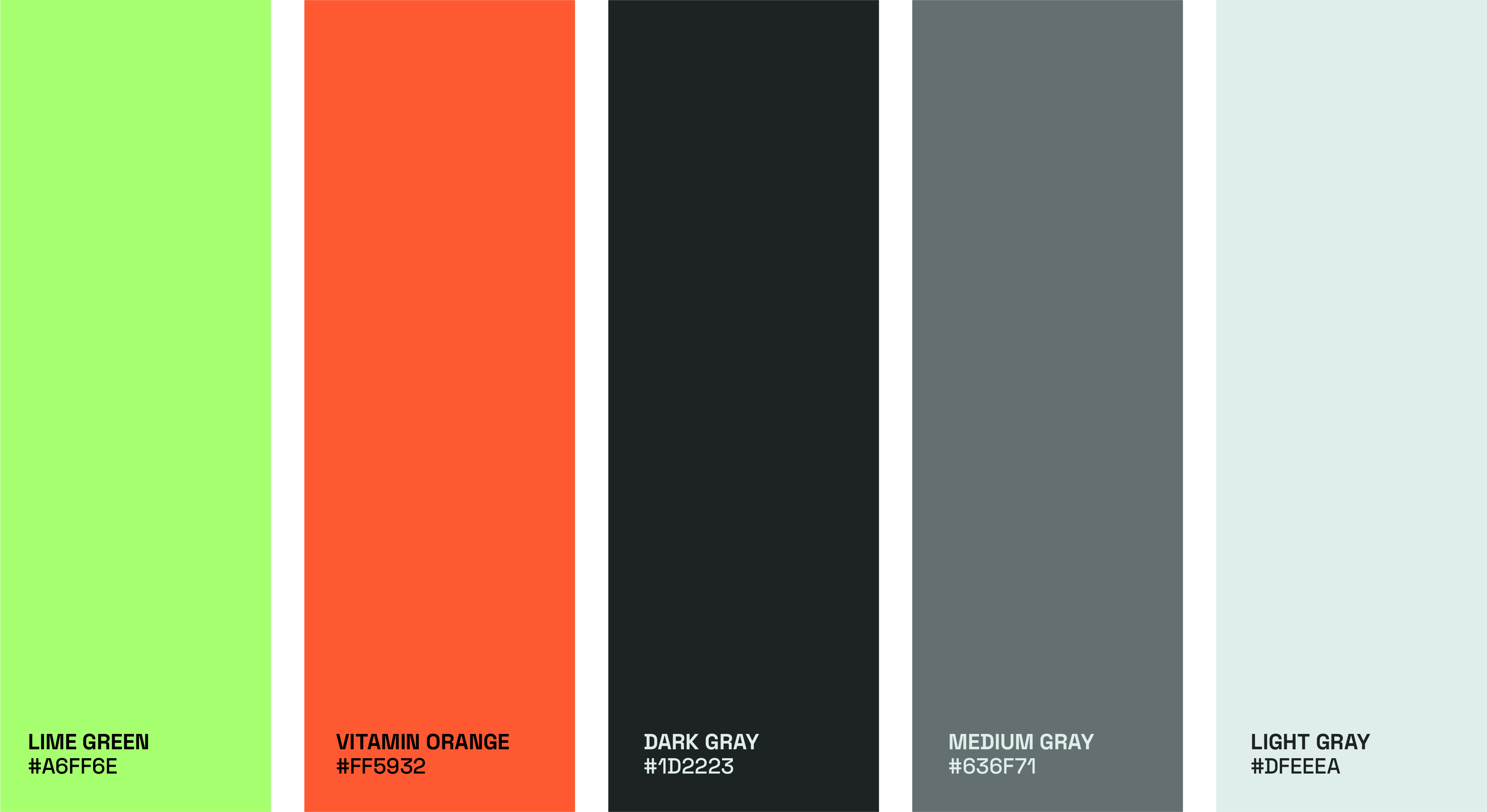 color palette and typography