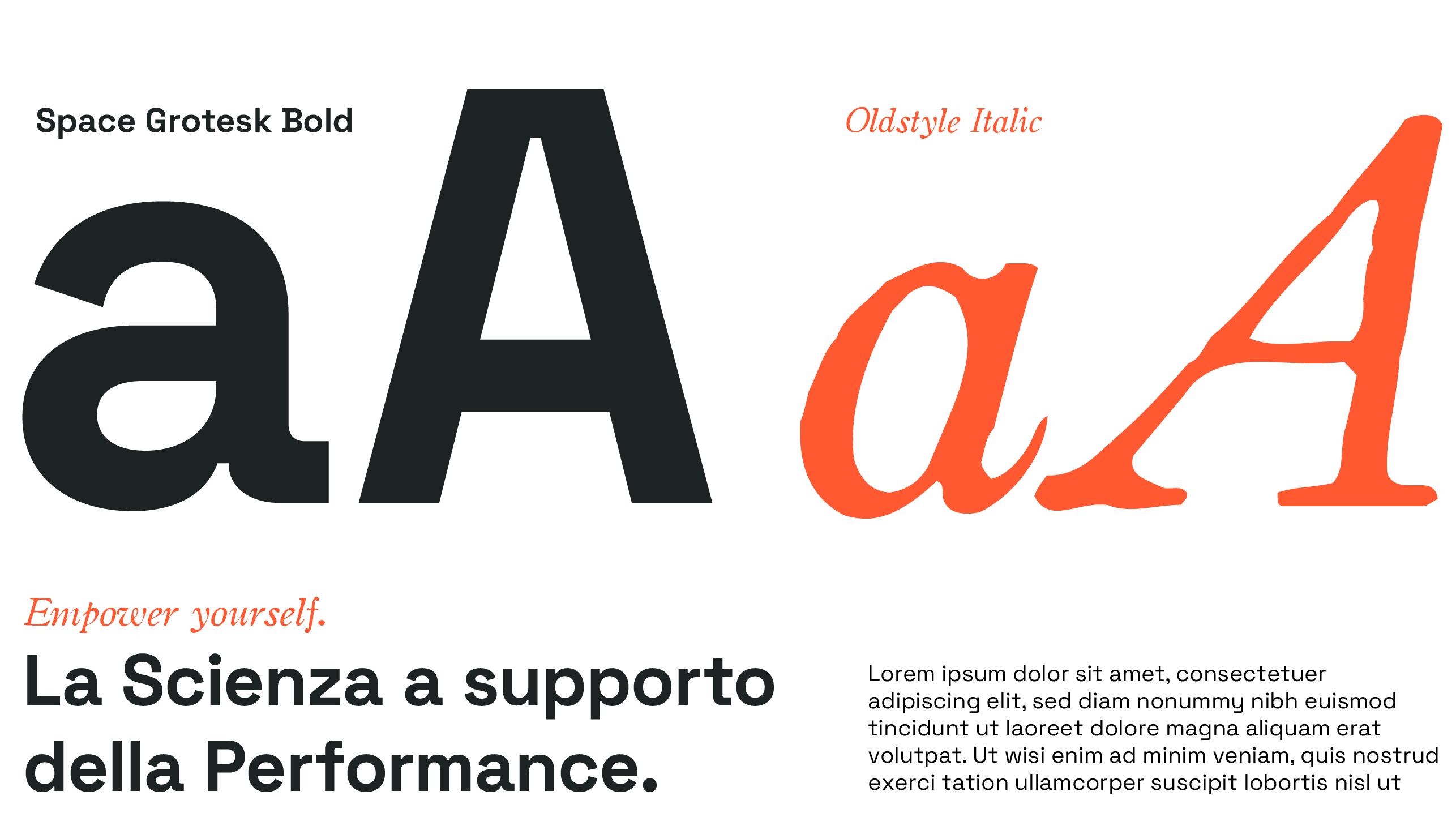 color palette and typography