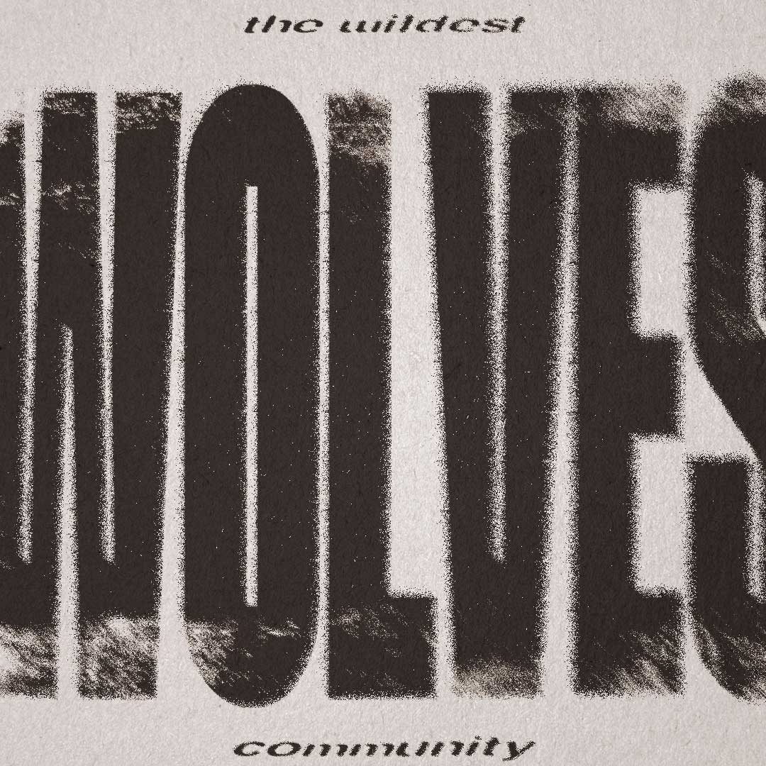 Text reading 'the wildest NOLLS community' with a textured, grainy effect on the large word 'NOLLS'.