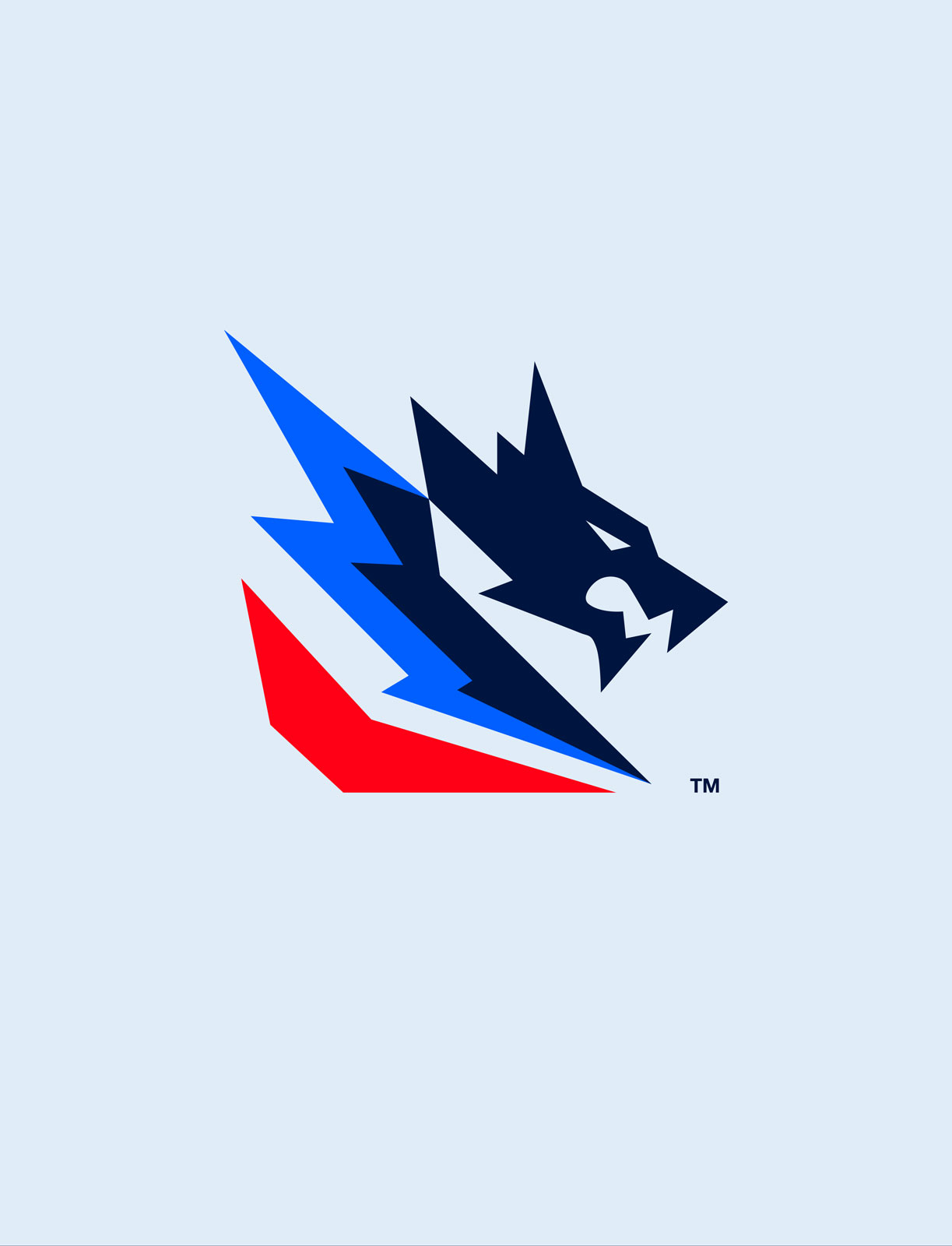 Abstract logo depicting a stylized dragon head in dark blue with angular lightning shapes in blue and red beneath it.