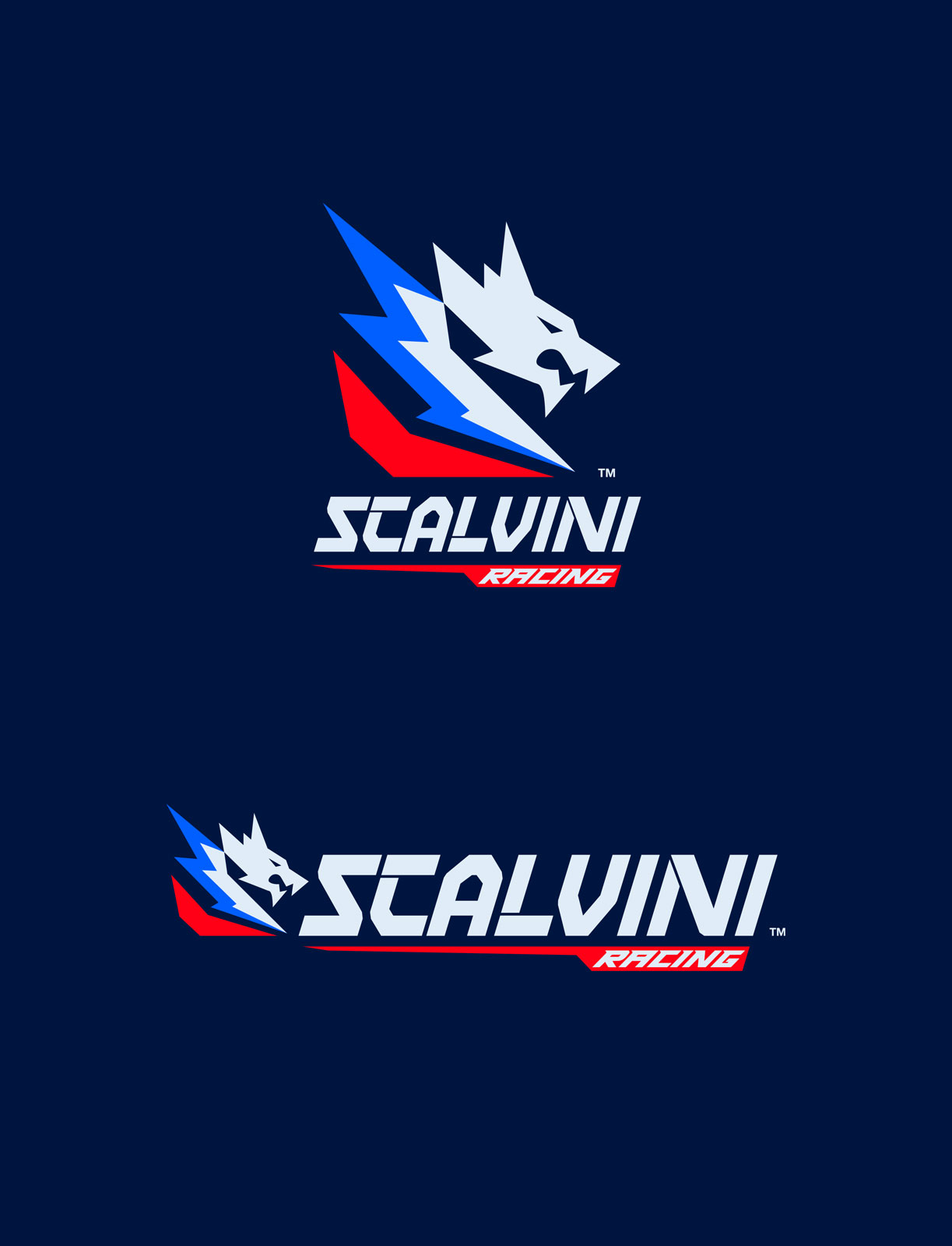 Scalvini Racing logo featuring a stylized dragon head with blue and red accents above the text Scalvini Racing in bold, angular font on a dark blue background.